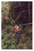 Canopy in Volc&aacute;n Mombacho, Nicaragua